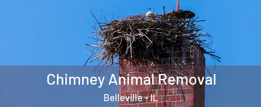 Chimney Animal Removal Belleville - IL