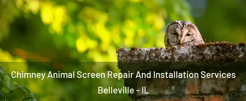  Chimney Animal Screen Repair And Installation Services Belleville - IL