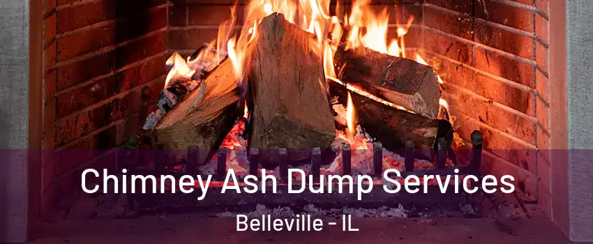  Chimney Ash Dump Services Belleville - IL