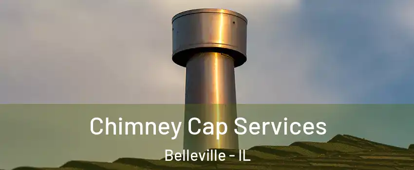  Chimney Cap Services Belleville - IL