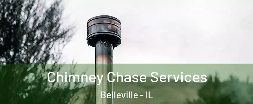  Chimney Chase Services Belleville - IL