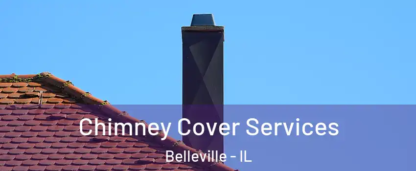  Chimney Cover Services Belleville - IL