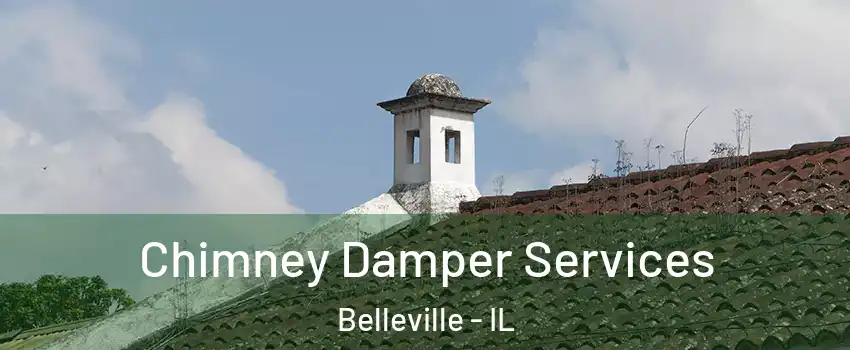 Chimney Damper Services Belleville - IL