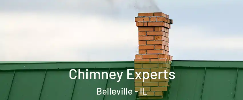 Chimney Experts Belleville - IL