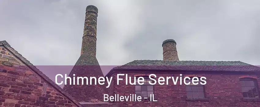  Chimney Flue Services Belleville - IL