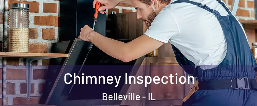  Chimney Inspection Belleville - IL