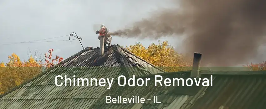  Chimney Odor Removal Belleville - IL