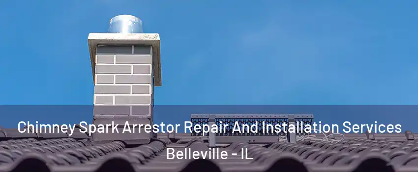  Chimney Spark Arrestor Repair And Installation Services Belleville - IL