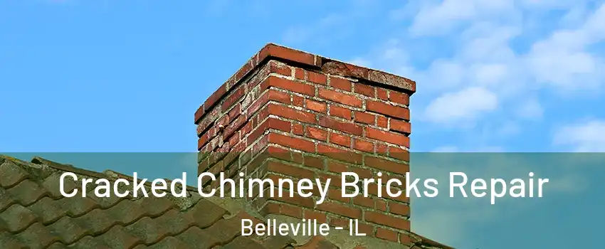  Cracked Chimney Bricks Repair Belleville - IL