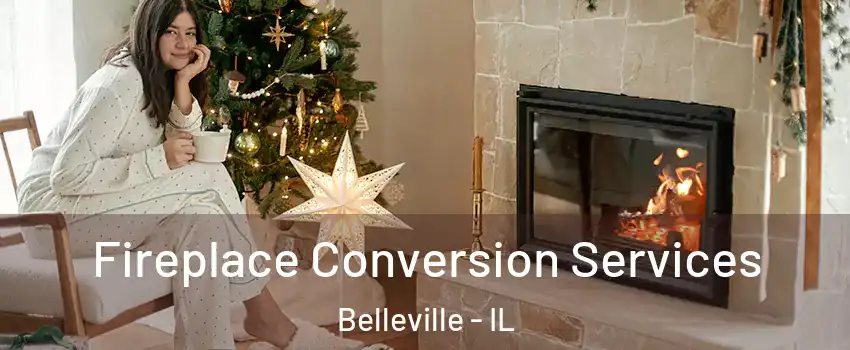  Fireplace Conversion Services Belleville - IL