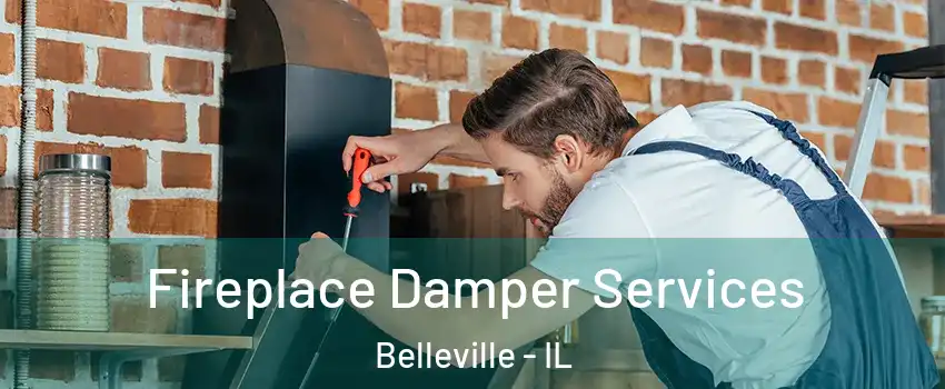  Fireplace Damper Services Belleville - IL