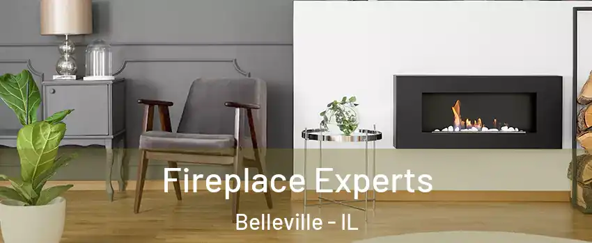  Fireplace Experts Belleville - IL