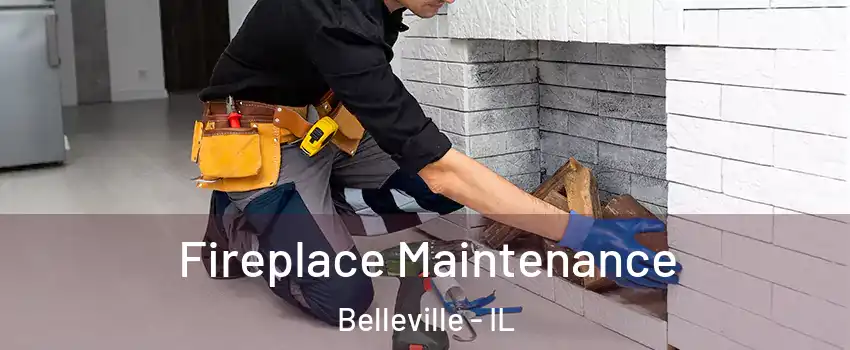  Fireplace Maintenance Belleville - IL