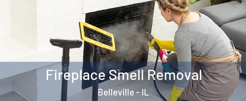  Fireplace Smell Removal Belleville - IL