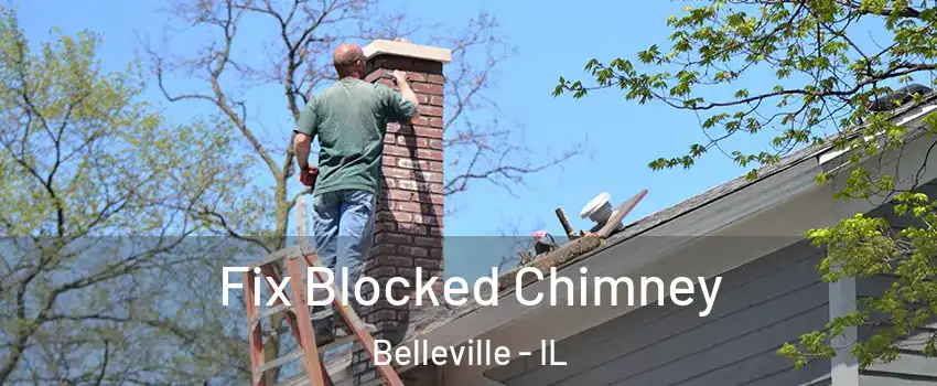  Fix Blocked Chimney Belleville - IL