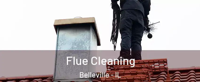 Flue Cleaning Belleville - IL