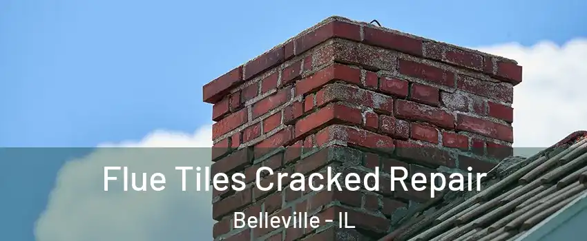  Flue Tiles Cracked Repair Belleville - IL