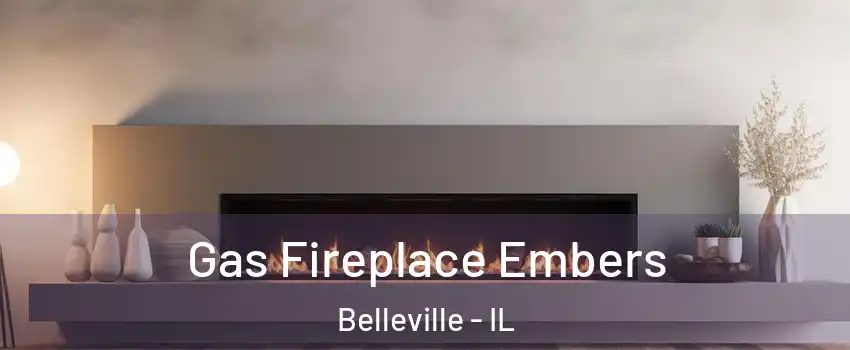  Gas Fireplace Embers Belleville - IL