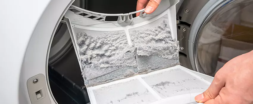 Best Dryer Lint Removal Company in Belleville, Illinois
