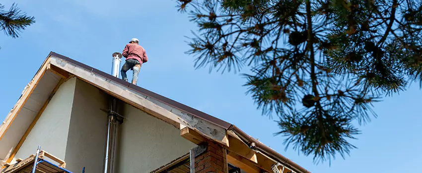 Birds Removal Contractors from Chimney in Belleville, IL