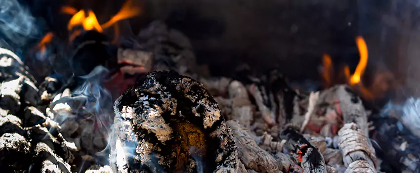 Creosote Removal Experts in Belleville, IL