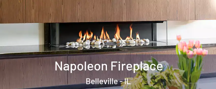  Napoleon Fireplace Belleville - IL