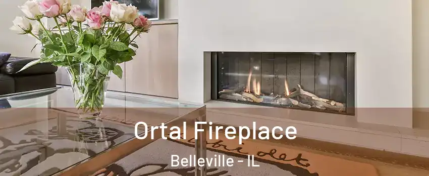 Ortal Fireplace Belleville - IL