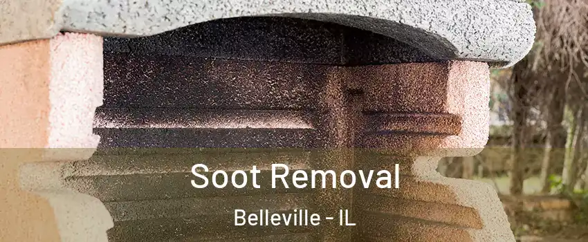  Soot Removal Belleville - IL