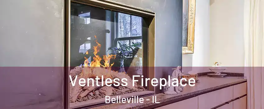  Ventless Fireplace Belleville - IL